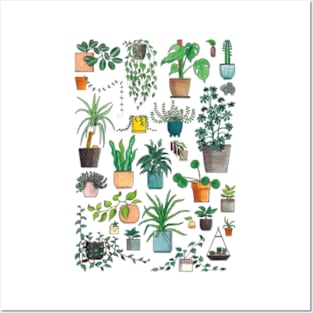 House plants! Posters and Art